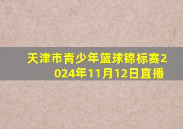 天津市青少年篮球锦标赛2024年11月12日直播