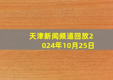 天津新闻频道回放2024年10月25日