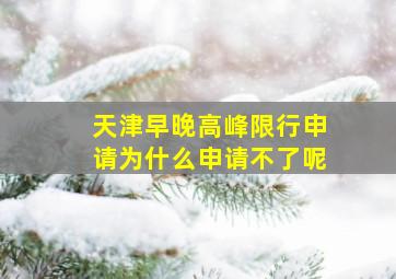 天津早晚高峰限行申请为什么申请不了呢