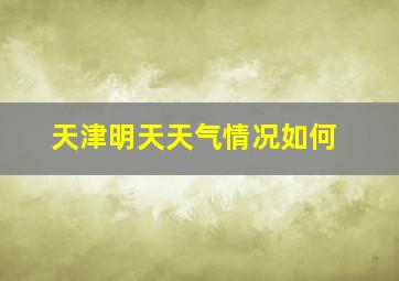 天津明天天气情况如何