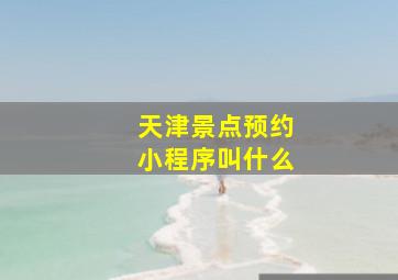 天津景点预约小程序叫什么