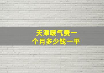 天津暖气费一个月多少钱一平