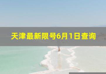 天津最新限号6月1日查询