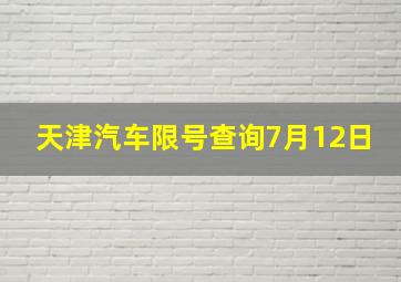 天津汽车限号查询7月12日