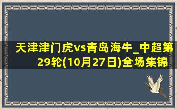 天津津门虎vs青岛海牛_中超第29轮(10月27日)全场集锦