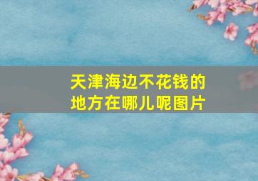 天津海边不花钱的地方在哪儿呢图片