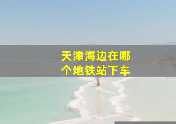 天津海边在哪个地铁站下车