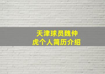 天津球员魏仲虎个人简历介绍