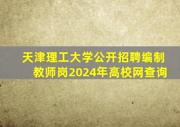 天津理工大学公开招聘编制教师岗2024年高校网查询