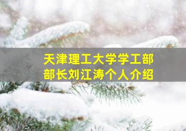 天津理工大学学工部部长刘江涛个人介绍