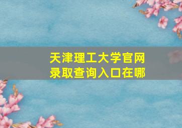 天津理工大学官网录取查询入口在哪