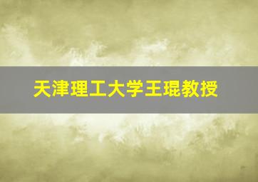 天津理工大学王琨教授