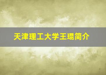 天津理工大学王琨简介