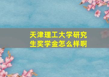 天津理工大学研究生奖学金怎么样啊