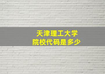 天津理工大学院校代码是多少