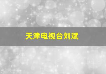 天津电视台刘斌