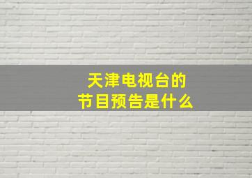 天津电视台的节目预告是什么