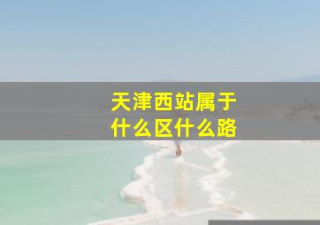 天津西站属于什么区什么路