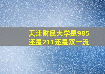 天津财经大学是985还是211还是双一流