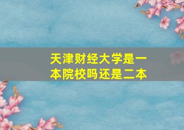 天津财经大学是一本院校吗还是二本