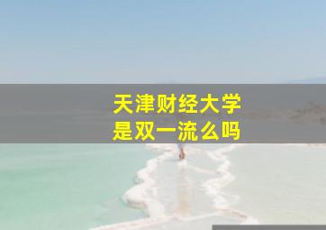 天津财经大学是双一流么吗