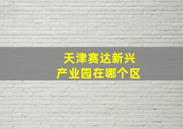 天津赛达新兴产业园在哪个区