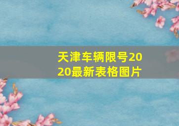 天津车辆限号2020最新表格图片