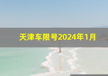 天津车限号2024年1月