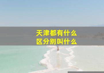 天津都有什么区分别叫什么