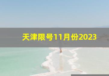 天津限号11月份2023