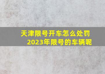 天津限号开车怎么处罚2023年限号的车辆呢