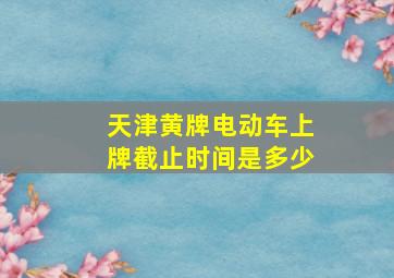 天津黄牌电动车上牌截止时间是多少