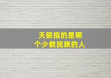 天狼指的是哪个少数民族的人