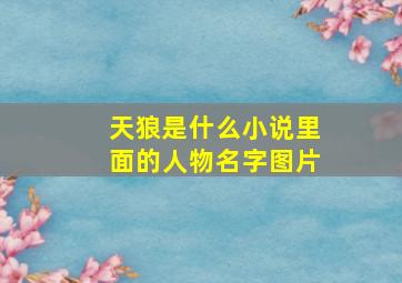 天狼是什么小说里面的人物名字图片