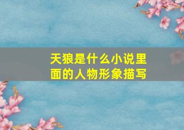 天狼是什么小说里面的人物形象描写