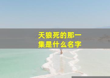 天狼死的那一集是什么名字