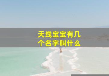 天线宝宝有几个名字叫什么