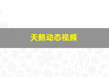 天鹅动态视频