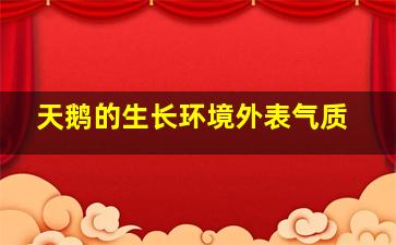 天鹅的生长环境外表气质