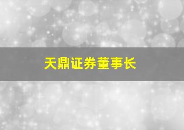 天鼎证券董事长