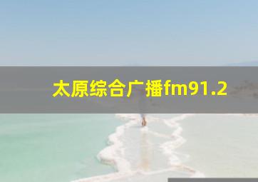 太原综合广播fm91.2