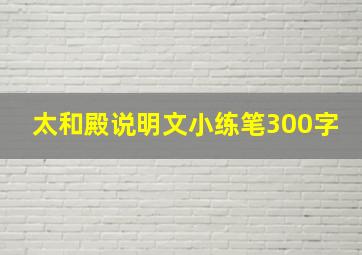 太和殿说明文小练笔300字