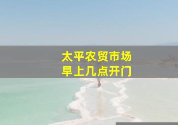 太平农贸市场早上几点开门