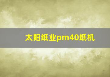 太阳纸业pm40纸机