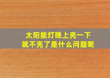 太阳能灯晚上亮一下就不亮了是什么问题呢