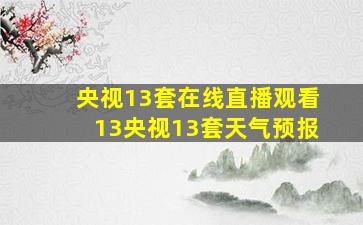 央视13套在线直播观看13央视13套天气预报