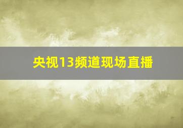 央视13频道现场直播