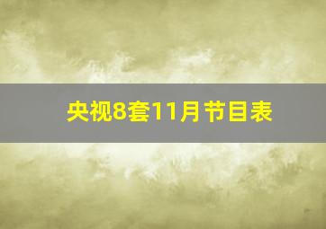 央视8套11月节目表