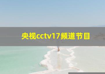 央视cctv17频道节目