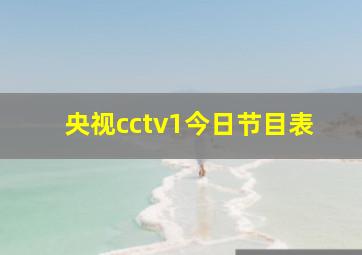 央视cctv1今日节目表